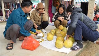 Help mother pick pomelos to sell at the market. Green forest life