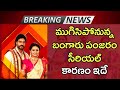 Bangaru Panjaram Serial Ended Reason Bangaru Panjaram Serial Last Episode Bangarupanjaram
