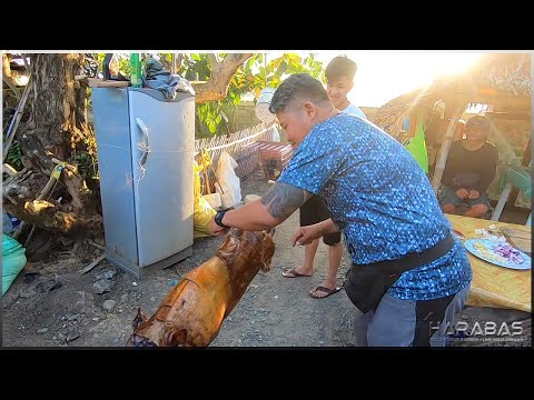 EP495-Part 1 - Happy Birthday Dalaman | Occ. Mindoro