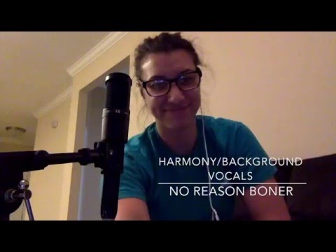 NSP - No Reason Boner Harmony/Background Vocals