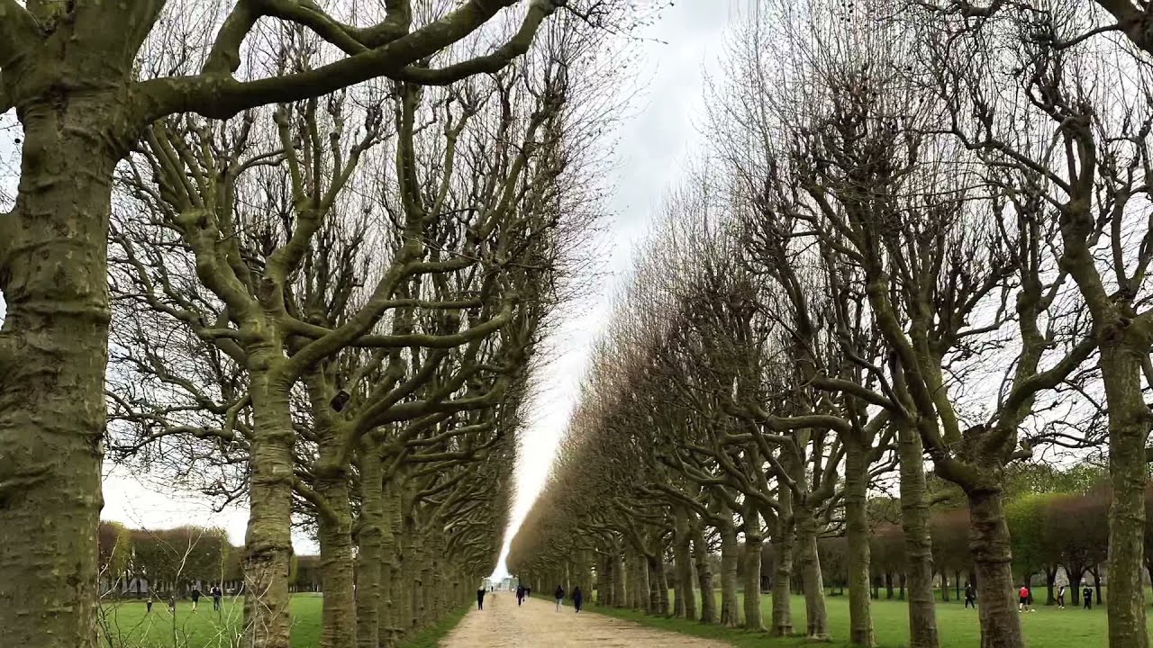 ????????????? Domaine de Meudon???????????????????????#2