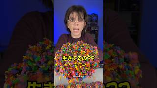 生きて動くスライムの正体