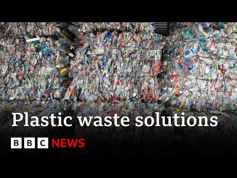 How can we fix our plastic waste problem? - BBC News
