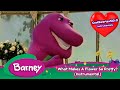 Barney What Makes A Flower So Pretty Instrumental
