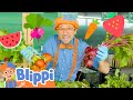 Blippi Learns Healthy Eating For Kids At Tanaka Farm Educational Videos For Toddlers