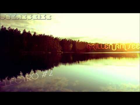 Bachstelze - Grillen am See [Electro #2]
