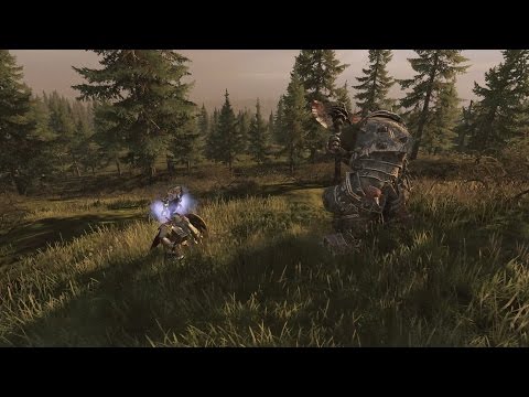 Warhammer VS - Belegar Ironhammer vs. Grimgor Ironhide!!