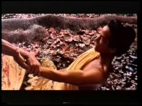 Film 95 report: The Computer Film Company