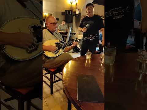 Gogi Laguna - Pijem (COVER 2024)