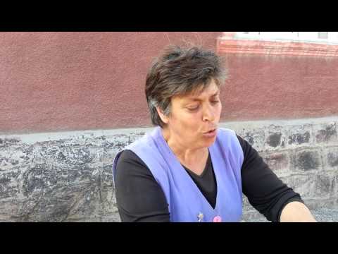 Focuri de arma in dealul crucii din resita