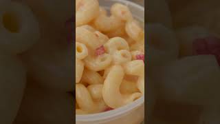 Download lagu Barbeque so good even Guy Fieri had to visit Shepard BBQ || #bbq #guyfieri #barbecue #northcarolina mp3