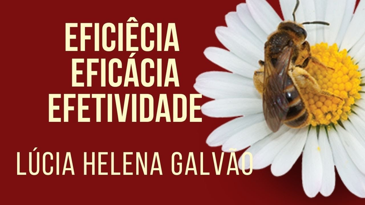 O QUE É SER EFICIENTE: economia, excelência, propósito - Lúcia Helena Galvão da Nova Acrópole