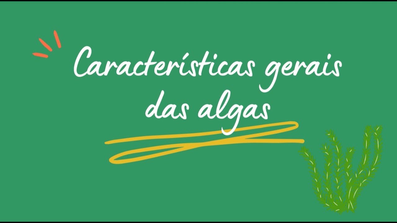 Vídeo Características gerais das algas - Bianca Flores
