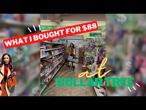 Bethenny Frankel Goes CRAZY at a DOLLAR TREE in NY!!