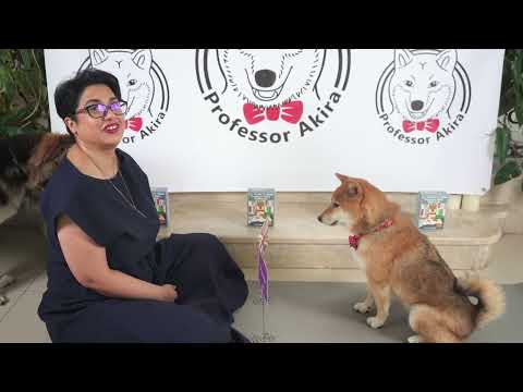 2.5 - Numbers, languages and flags