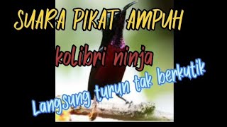 Download lagu SUARA KONIN PIKAT//LANGSUNG TURUN mp3