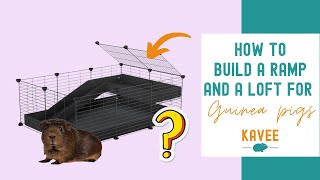 How to Build a Ramp and a Loft Effortlessly on your Guinea Pigs C&C Cage?