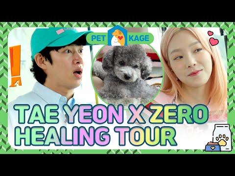 SNSD TAE YEON X ZERO HEALING TOUR💙💚