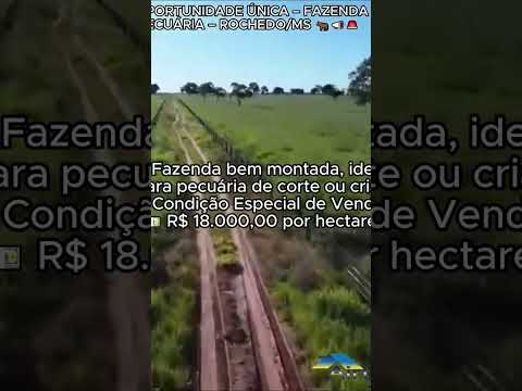 #campograndems #fazenda #pecuaria #ms #matogrossodosul #rochedo #investment