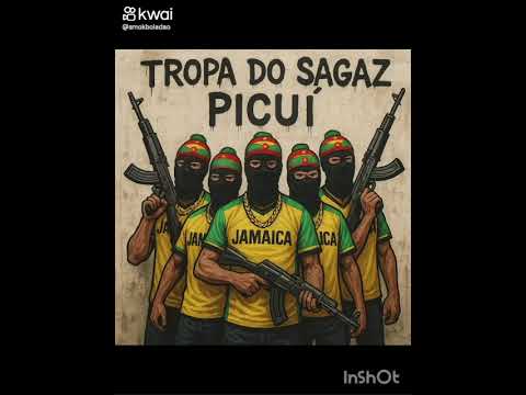 Mc PRD __ NOVA OKAIDA __ TROPA DO SAGAZ _ PICUÍ TUDO 1