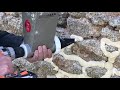 Joints de mur de pierres avec EASYFAST ®️