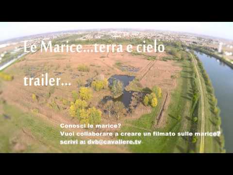 Cavarzere, le marice trailer