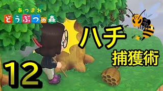 【あつまれどうぶつの森】捕獲率100％！ハチの捕まえ方を伝授してあげよう。[12日目]