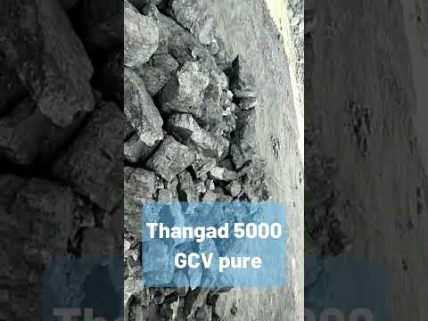 Thangadh Steam Coal, 4800 To 5000GCV