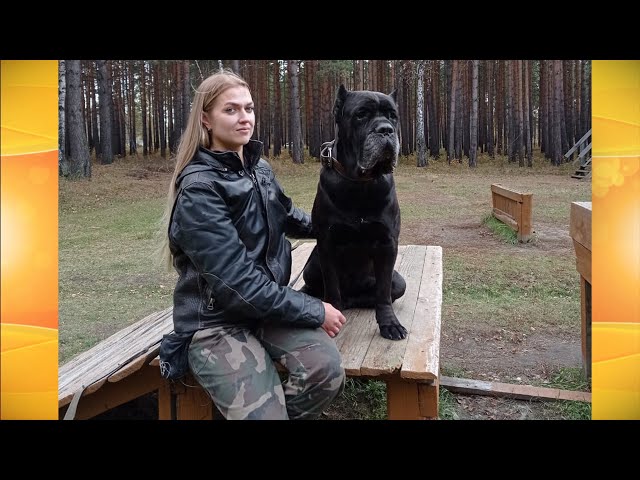 Живая среда