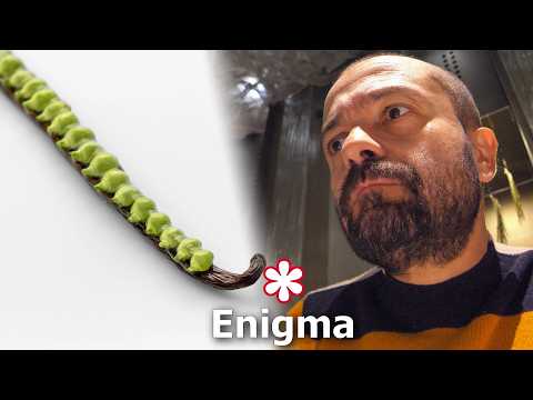 A pranzo da ENIGMA, il ristorante di ALBERT ADRIÀ, 1 stella Michelin ⭐