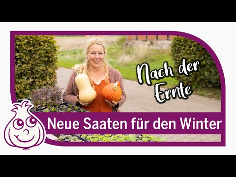 Säen und Ernten im September