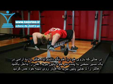 آموزش حرکت پلاور هالتر بازو خم Bent-Arm Barbell Pullover