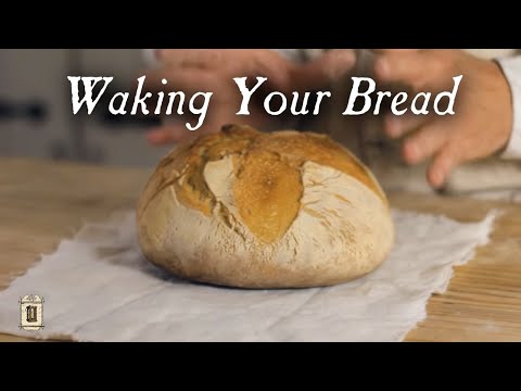 Sourdough from Leaven - 18th Century Breads, Part 5