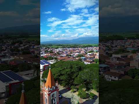 Volando Dron en la hermosa tierra del #Saman Guacarí - Valle del Cauca #Drone #pueblos