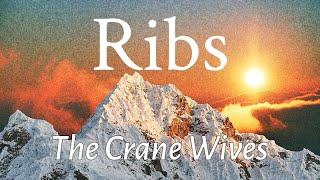 Ribs (Music Video) -The Crane Wives-