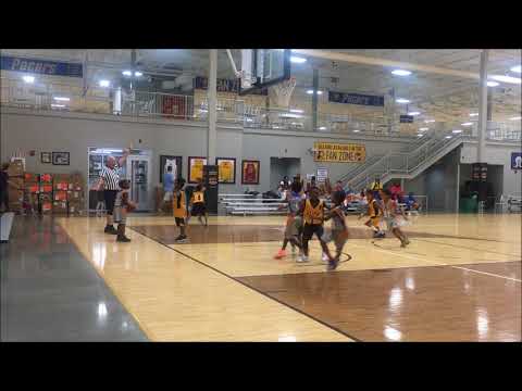 PRIDE 1ST VS PROGENY