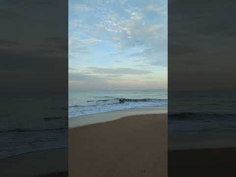 beach in sri lanka. #shorts