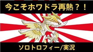 【城ドラ】なんだかんだホワドラが強い説ソロトロフィー実況【めめるび】城とドラゴン