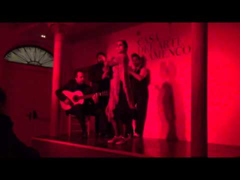 TABLAO FLAMENCO GRANADA "ANA CALI" CASA DEL ARTE FLAMENCO