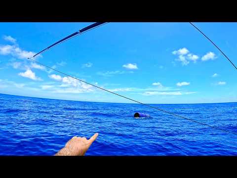 We found this FLOATING DRUM 65kms offshore in 700m of water! Fish Everywhere!