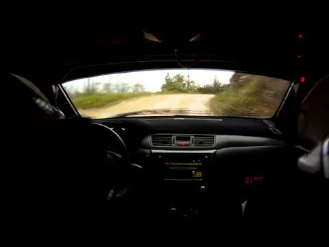 Francesco Fanari - Silvio Stefanelli - Cameracar Rally Balcone delle Marche 2014 - PS 3