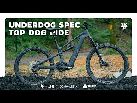 Canyon Strive:ON CFR Underdog Review - Holy Moly! #emtb