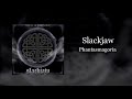 Slackjaw - Phantasmagoria