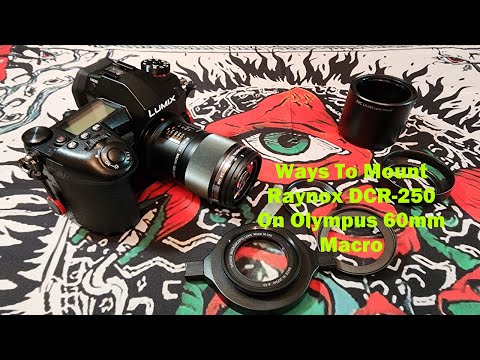 Raynox DCR-250 On Olympus 60mm F2.8 Macro Mounting Options