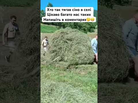 Хто так тягав сіно в селі