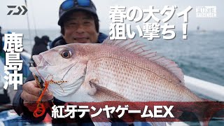 マダイの釣果写真