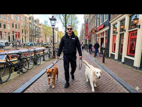 🔴LIVE Amsterdam | Walking With My Dogs Through The Historic Center While Injecting The MaryJewHannah