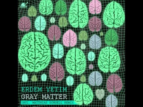 Erdem Yetim - Distinction