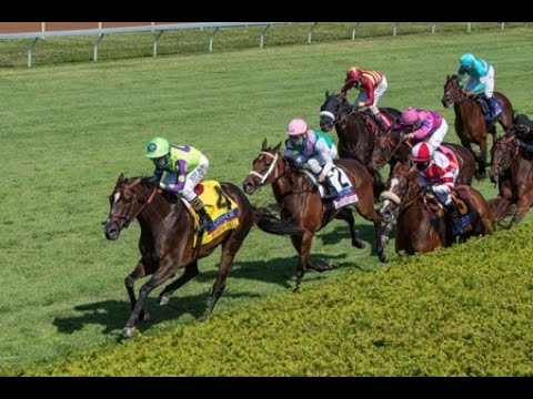 Coolmore Jenny Wiley (G1) 2020