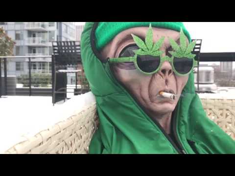 George Michael (ON ACID!!!)